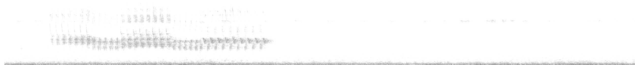 křivka bělokřídlá - ML602398141