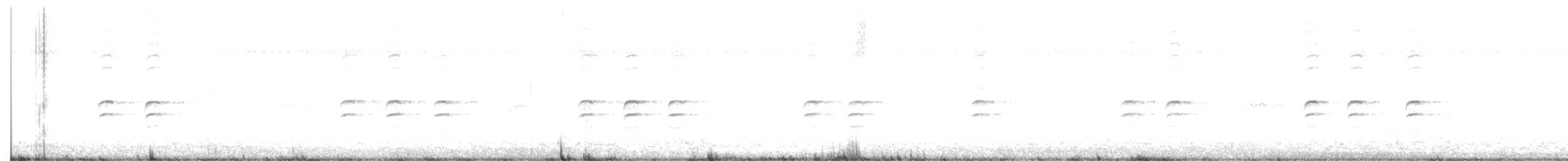 křivka bělokřídlá - ML602398151