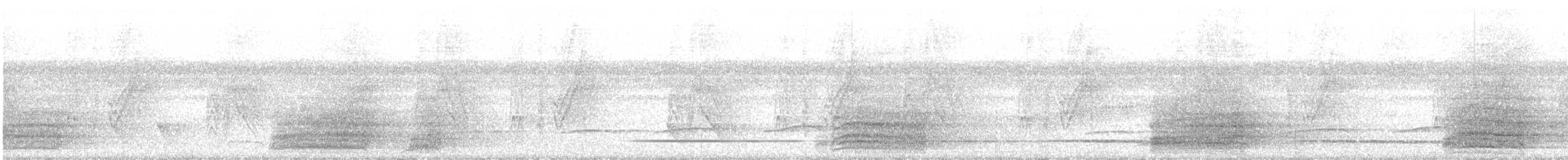Variegated Tinamou - ML602400471