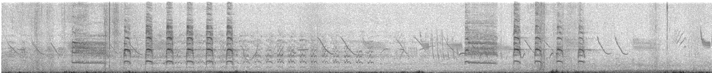 Yer Kukumavı [cunicularia grubu] - ML602411121
