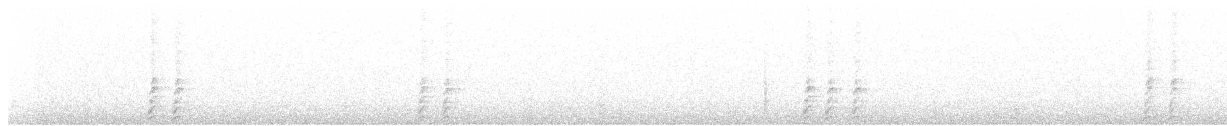svartbrystturka - ML60241791