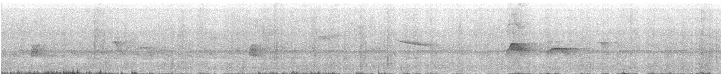 Lesser Antillean Euphonia - ML602428061