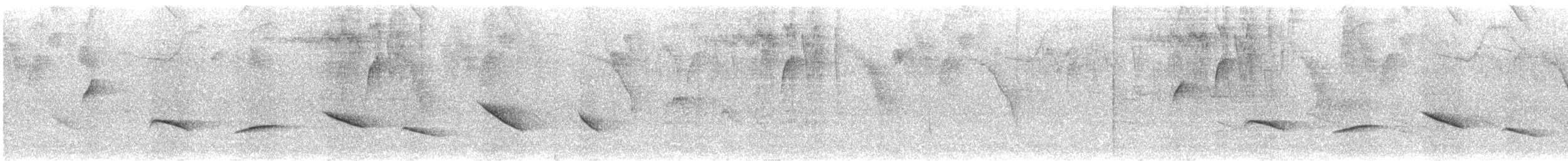 Зернолуск антильський - ML602434031