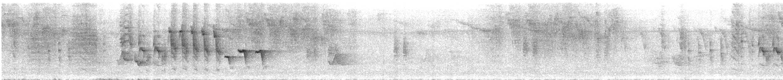 Troglodyte familier (rufescens) - ML602434201
