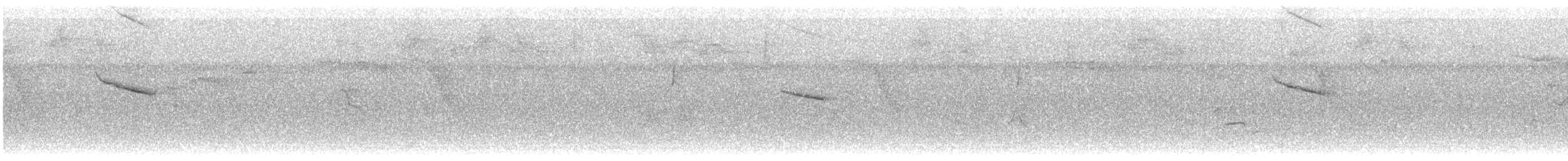 Lesser Antillean Euphonia - ML602435561