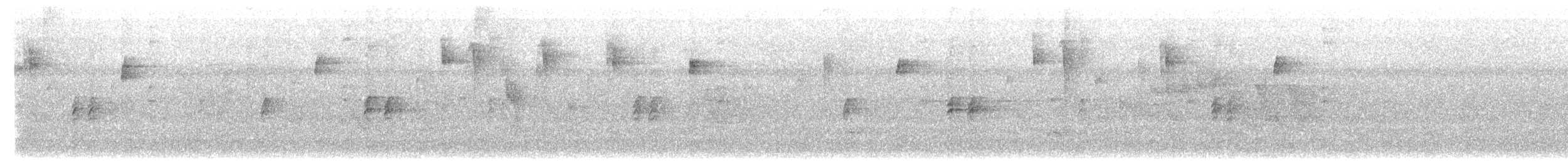 Lesser Antillean Euphonia - ML602435731