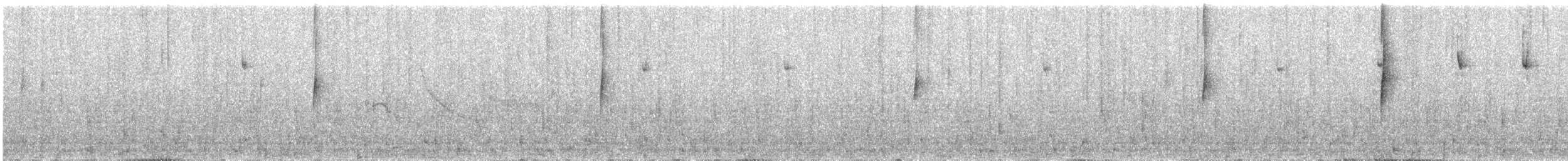 Gray-flanked Cinclodes - ML602461471