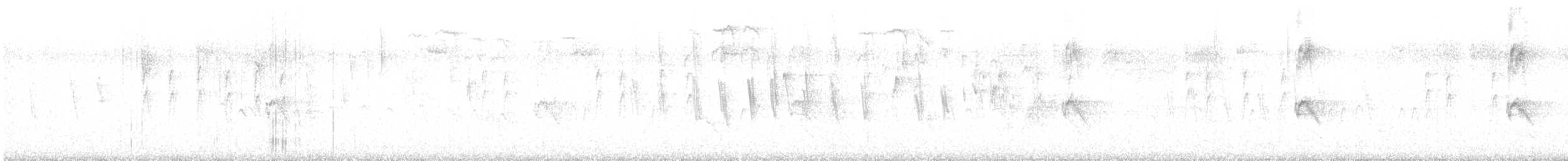 キビタイシメ - ML602469821