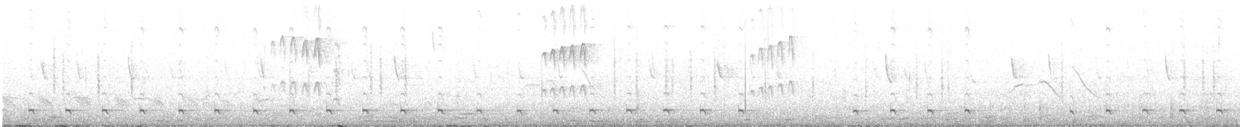 Australzwergkauz - ML602498981