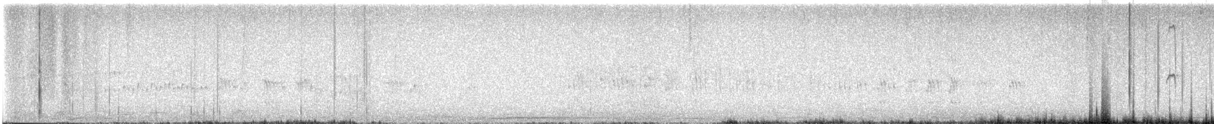 Colibri géant - ML602527611
