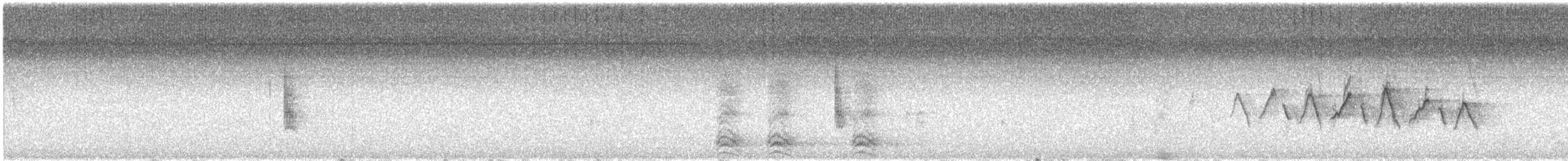 Common Yellowthroat - ML602534981