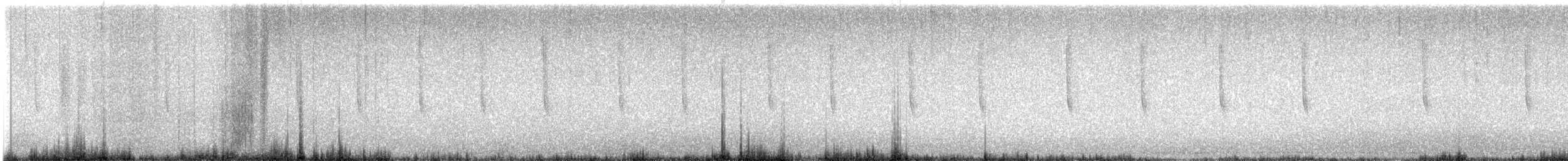 Schwarzbauch-Glanzschwänzchen - ML602535181