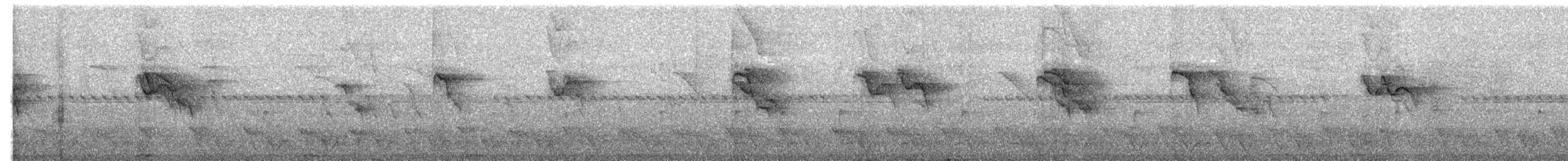 Fiji White-eye - ML602555391