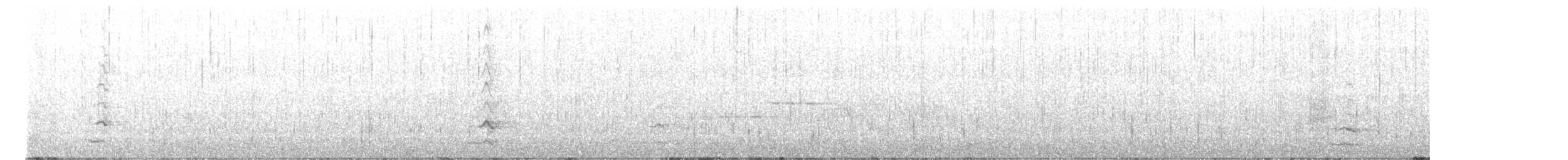 Kanada Kargası (capitalis/bicolor) - ML602594701