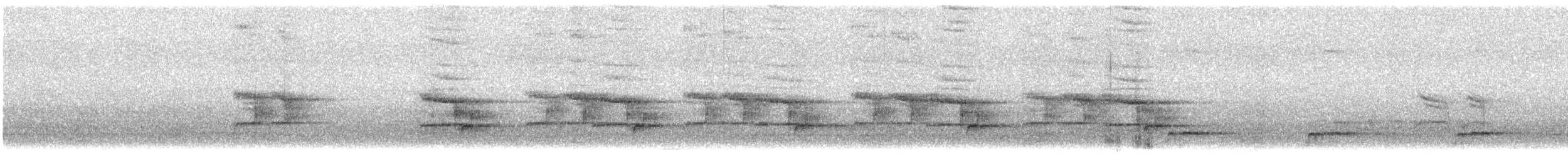 Magpie-lark - ML602624361