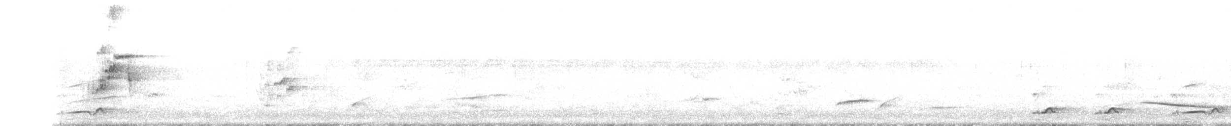 Полосатый трескун - ML602625221