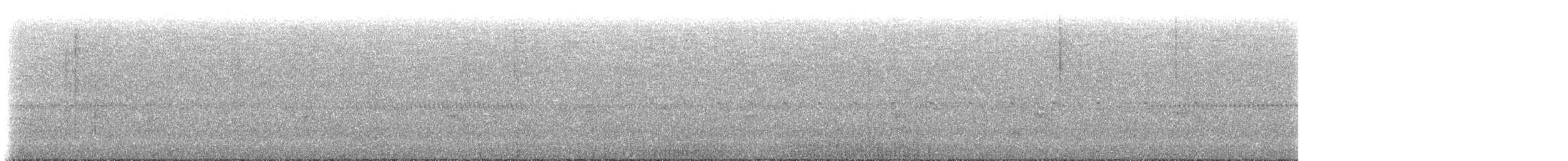 guan černočelý - ML602635531