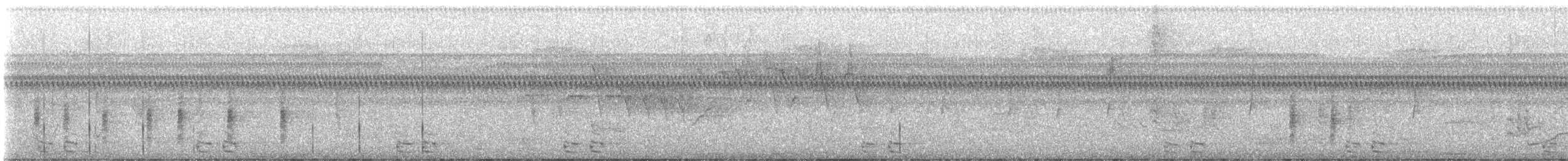 Schwarzschnabelkuckuck - ML602642961