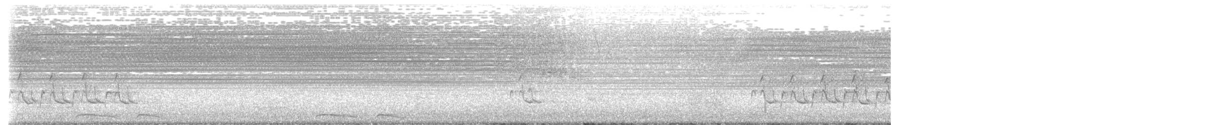 Инкская земляная горлица - ML602652561