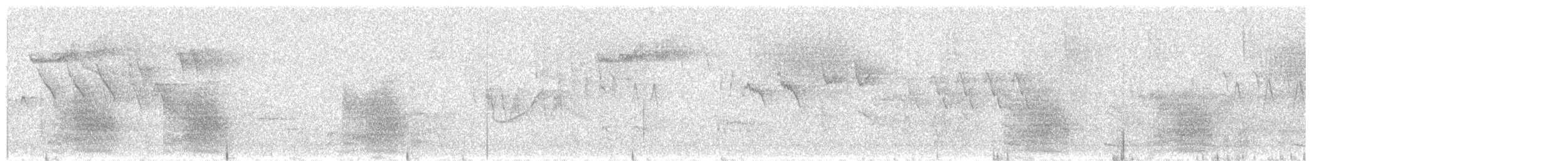 furuskrike (coronata gr.) - ML602666111