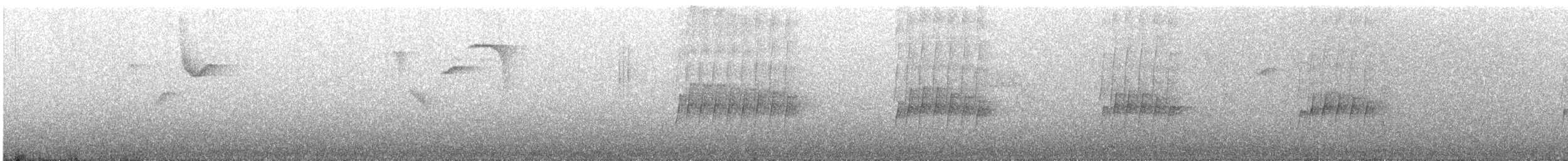 tyranntreløper - ML602676231