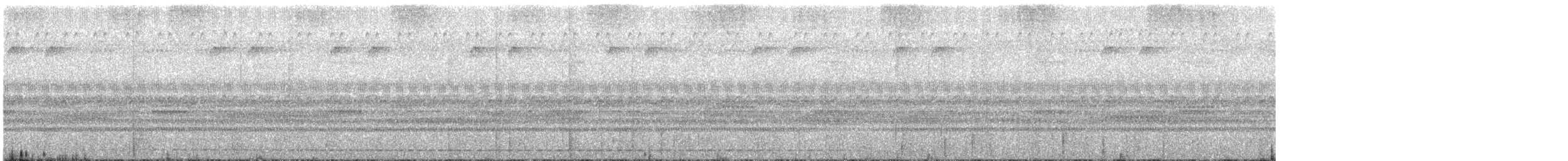 Рораймская совка [группа napensis] - ML602681101