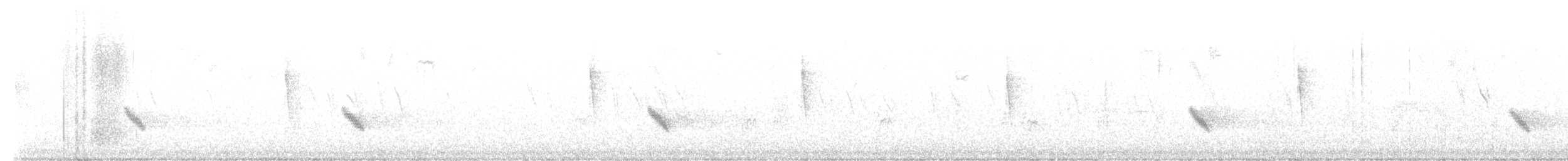 Büyük Mor Kırlangıç - ML602692761