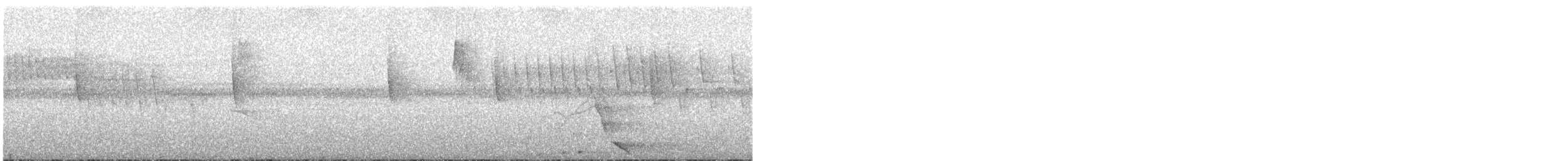 Cassique roussâtre (groupe angustifrons) - ML602696251