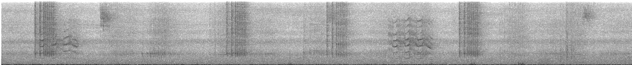 båtnebbtyrann (pitangua) - ML602708001