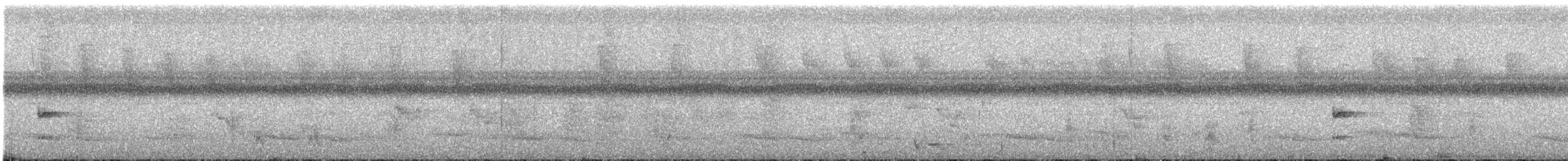 ヒムネオオハシ（culminatus／pintoi） - ML602726261