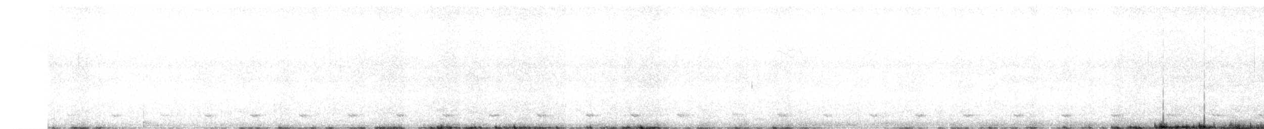 Chevêchette brune - ML602747531