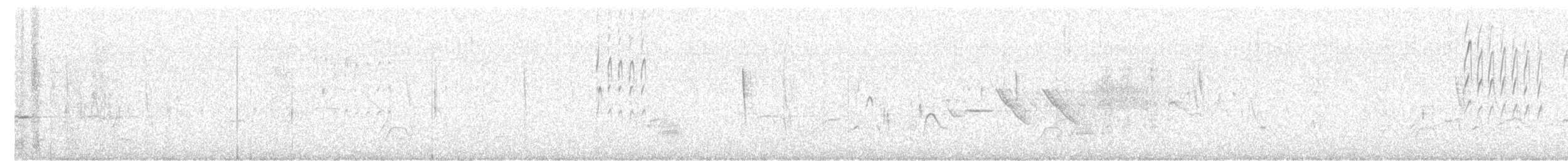 Plain-mantled Tit-Spinetail - ML602774231