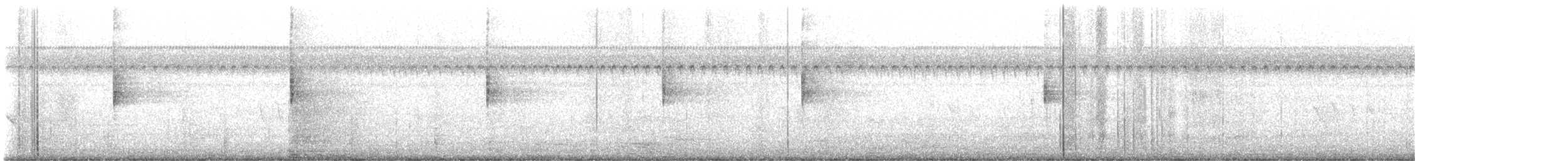 strømparula - ML602780811