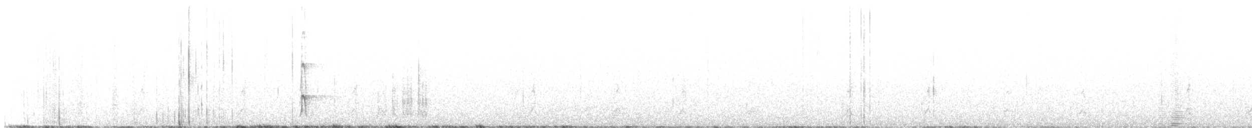 アメリカミユビゲラ（dorsalis） - ML602796361