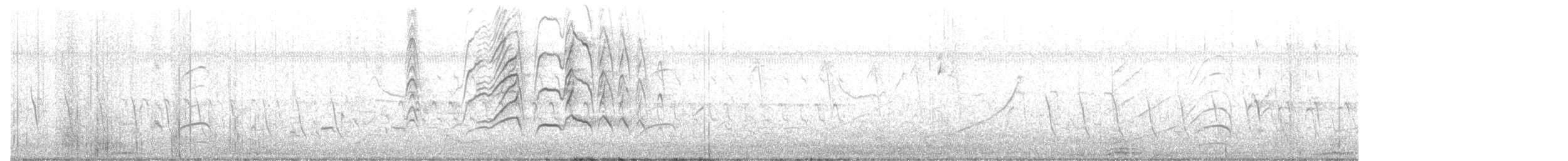 Kara Karınlı Islıkçı Ördek - ML602802881