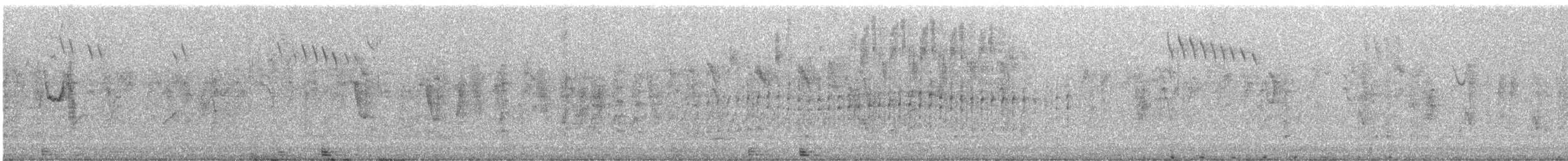 Australasian Grebe - ML602822971
