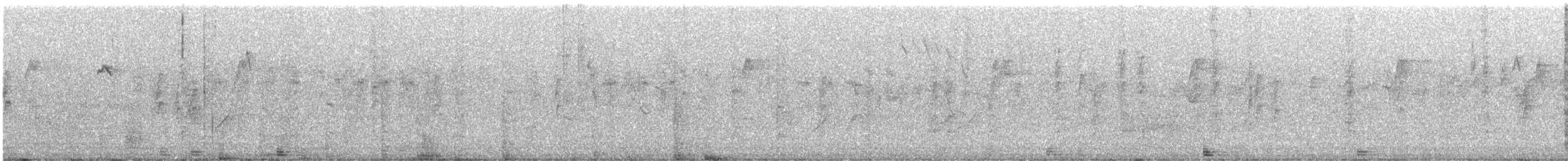 australtrostesanger - ML602825611