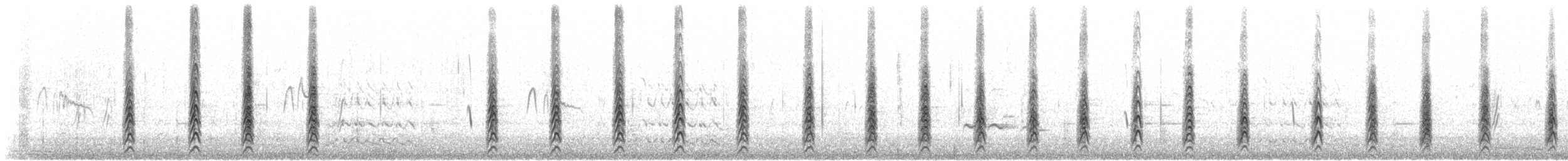 Black-necked Stilt (Black-necked) - ML602826941