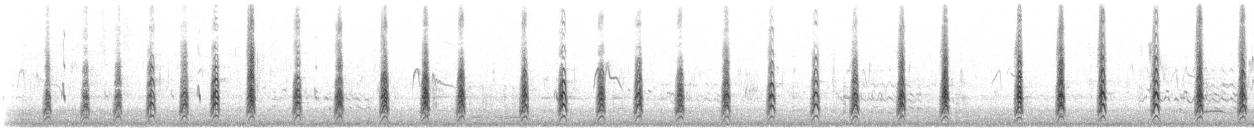 Black-necked Stilt (Black-necked) - ML602826961