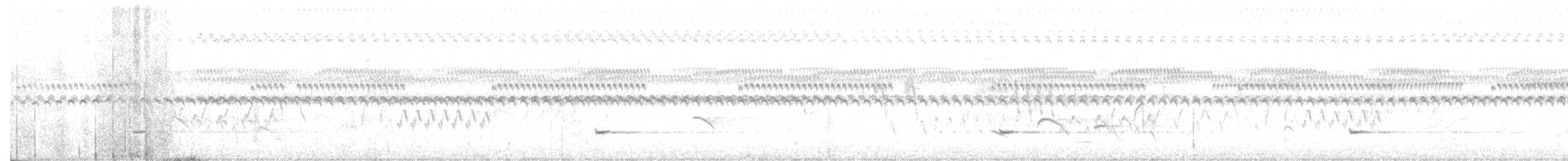 Small-billed Tinamou - ML602875701