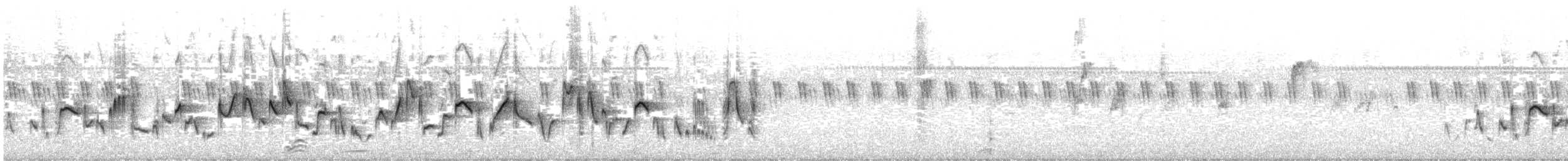 Laticille des marais - ML602915481