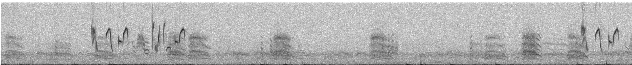 Патагонский конёк [группа correndera] - ML602915581