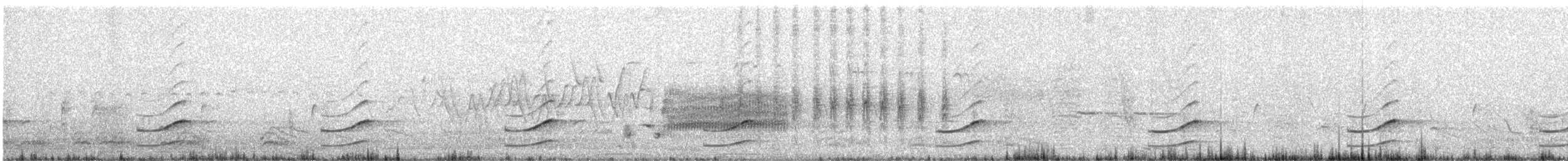 Carolinasumpfhuhn - ML60291991