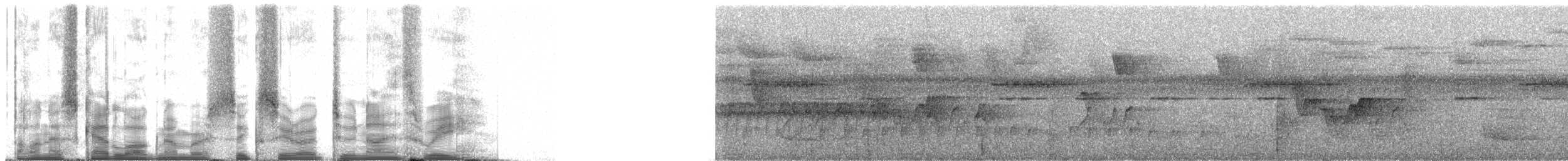 Grauschulter-Kappentyrann - ML60293