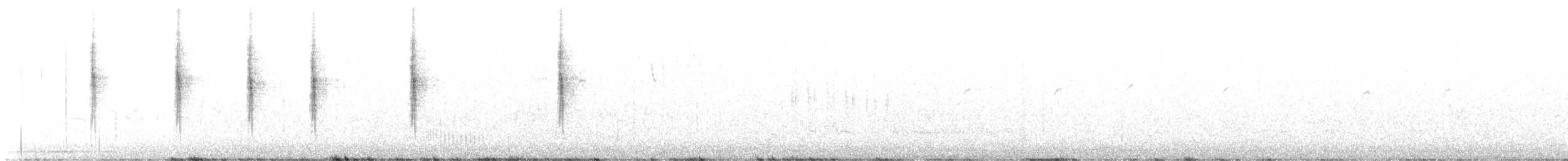 Широкохвістка середземноморська - ML602952561