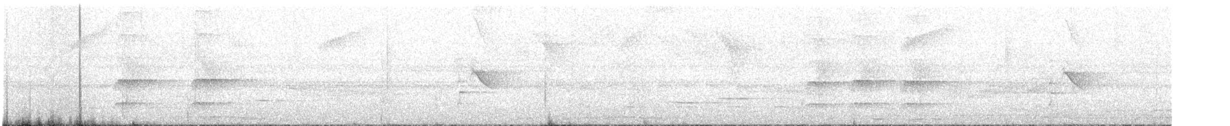Манакінчик західний [група striolatus] - ML602995301