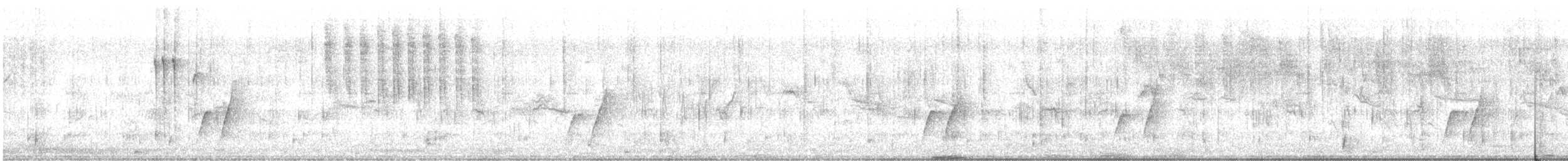 Krummschnabel-Spottdrossel - ML602995361