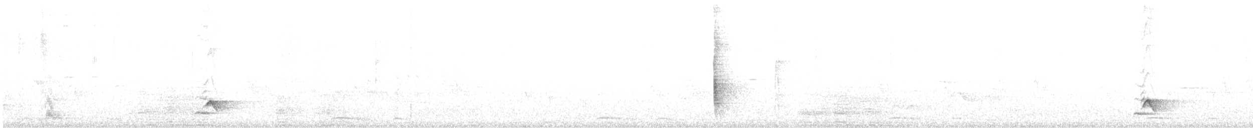 Blue Mockingbird - ML603020501