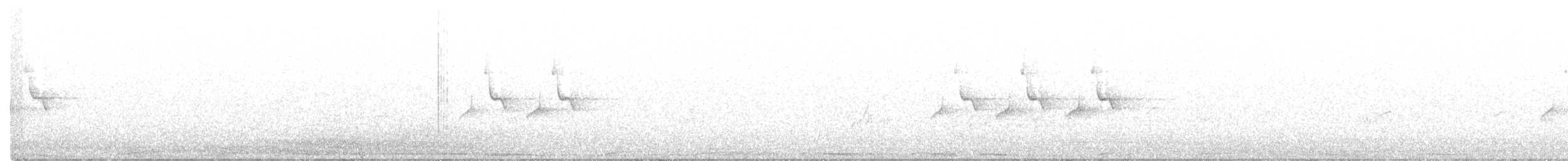 Синиця чорна (підвид ledouci/atlas) - ML603022211