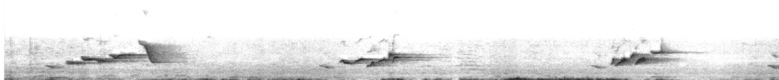 Cape Robin-Chat - ML603040731